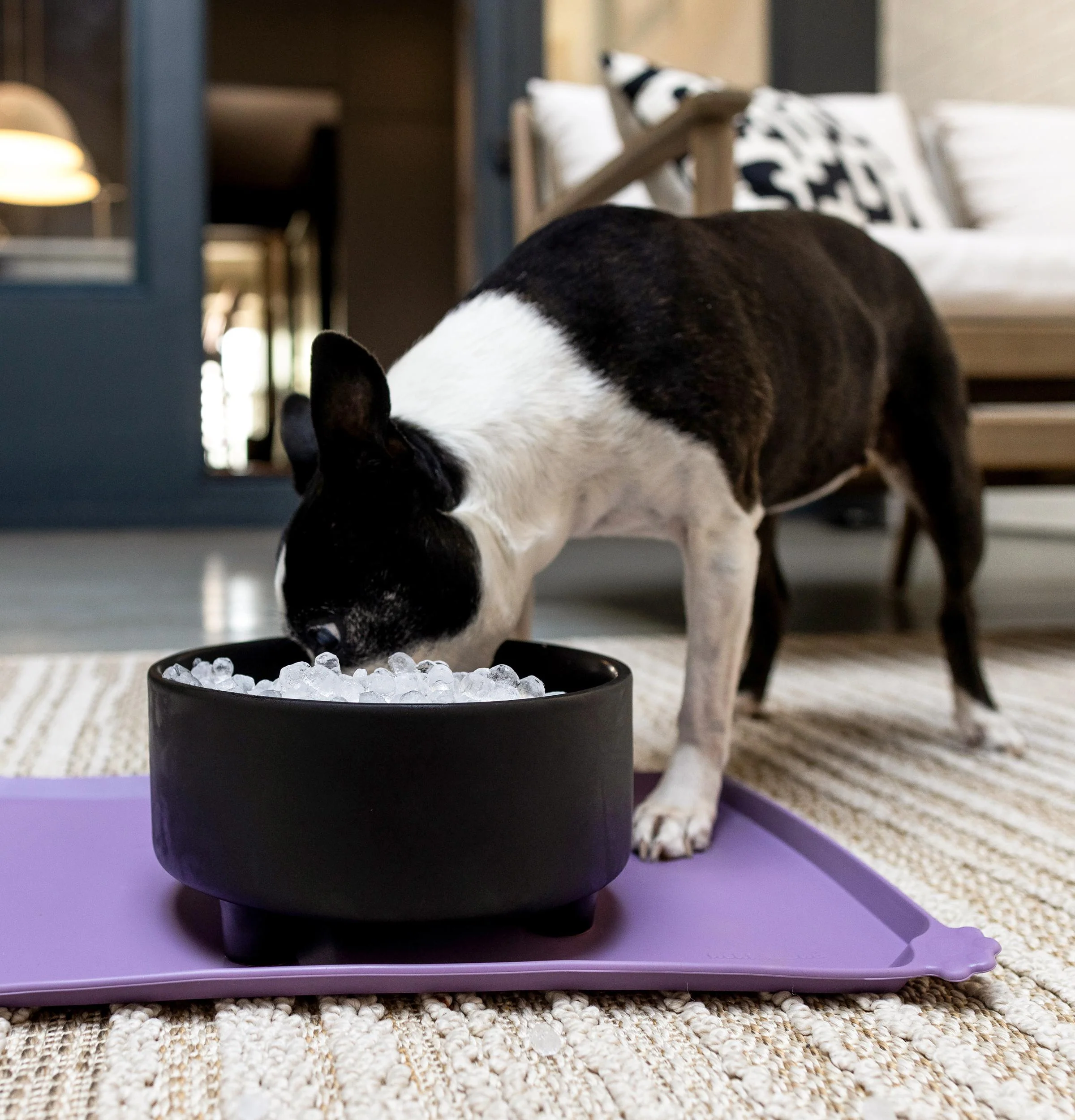XPIO23SWOW GE Profile™ Opal™ 2.0 Ultra Nugget Ice Maker with Scale Inhibiting Filter - Image 9