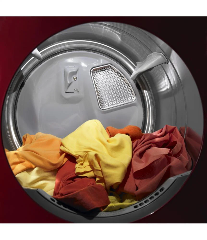Maxima® High-Efficiency Electric Steam Dryer - Image 7