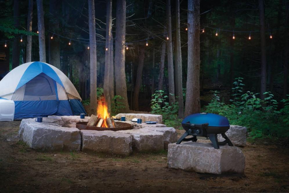 Napoleon Bbq TQ285BL1 TravelQ 285 Portable Gas Grill , Propane, Blue - Image 9